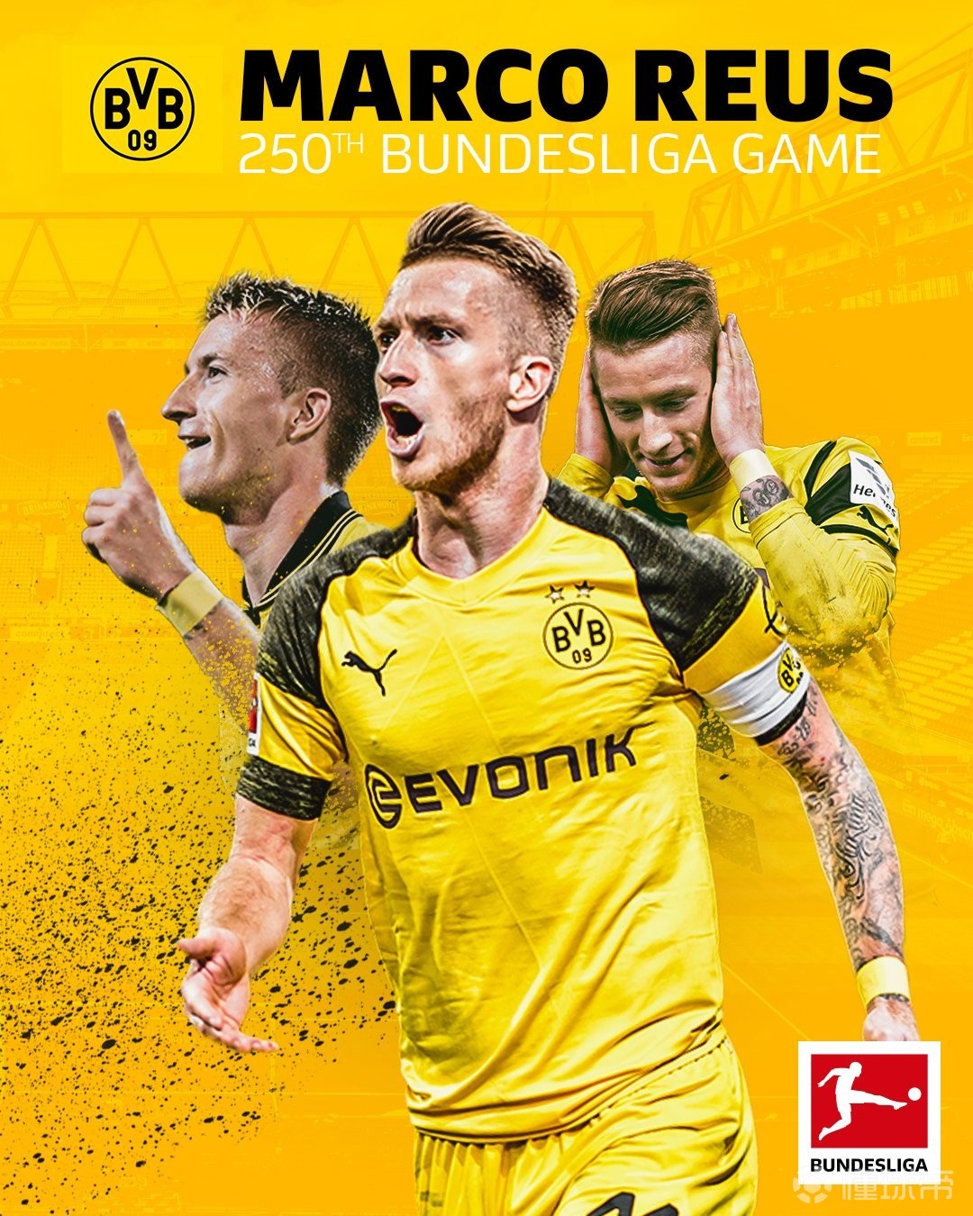 1吨-10吨茶籽油生产线